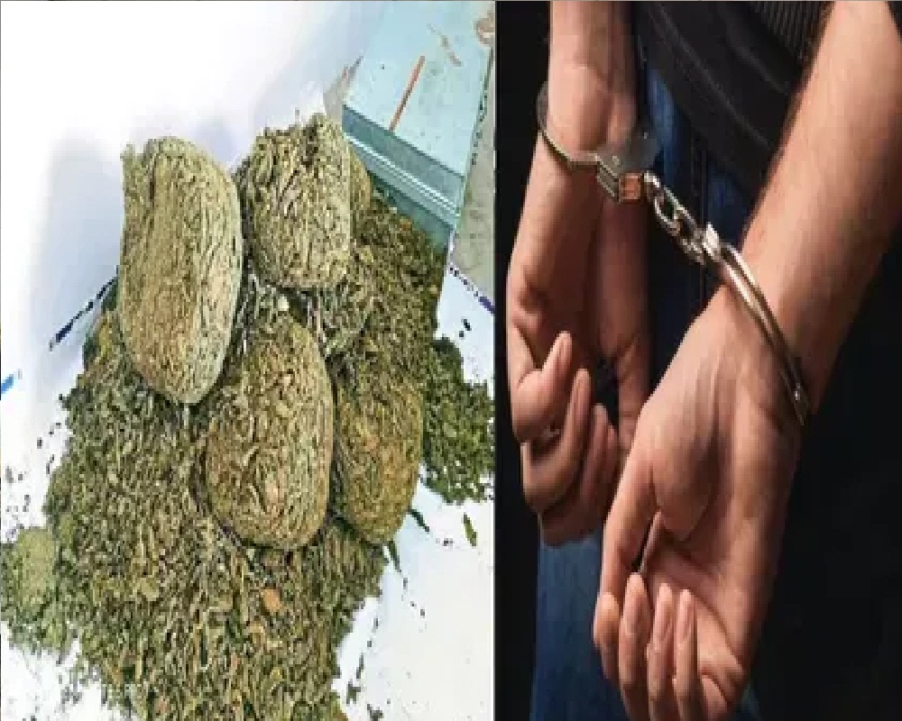 Ganja Smuggling In CG: गांजा तस्करी करते रंगे हाथों धरे गए 3 अंतर्राज्यीय तस्कर, 3 लाख का गांजा लेकर कर रहे थे बस का इंतजार