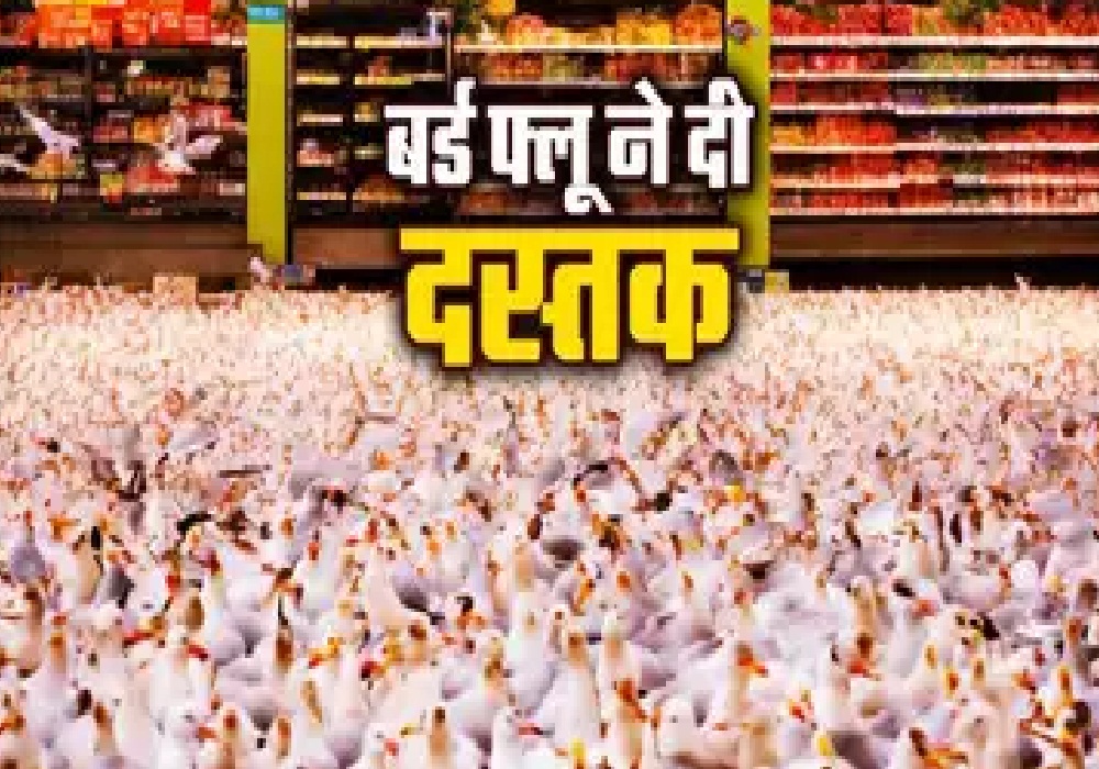 Bird flu in CG