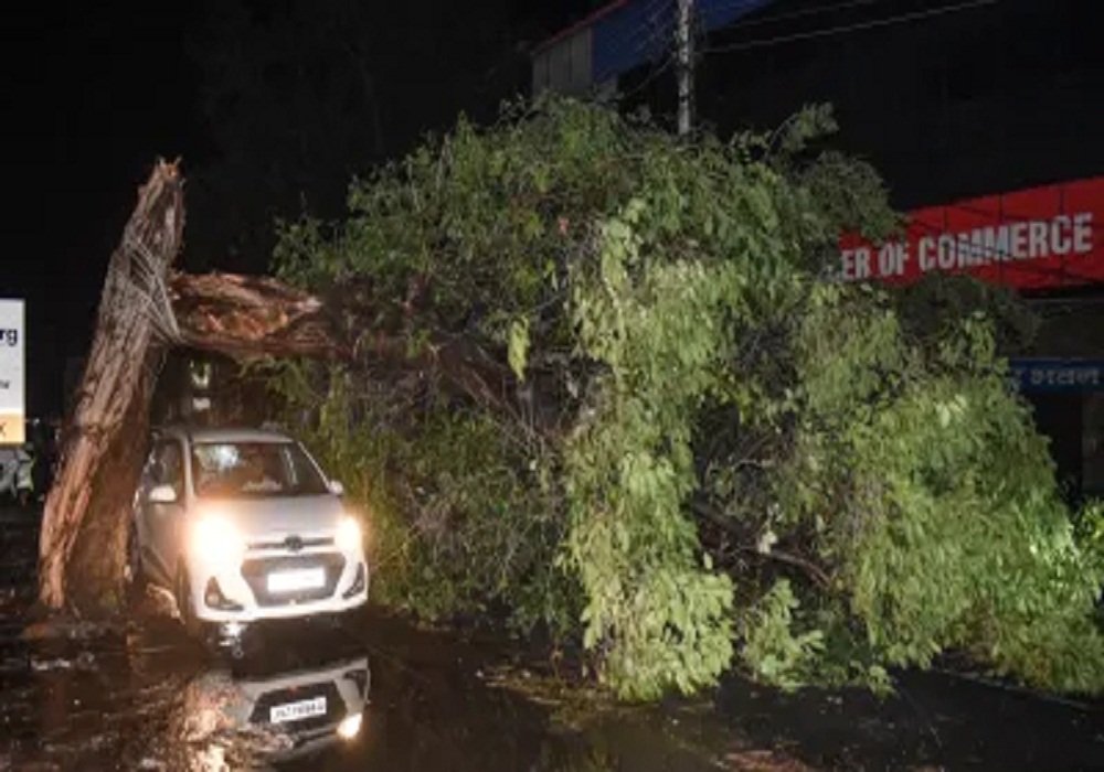 तूफानी बारिश का कहर… आप नेता समेत यहां हुई 45 लोगों की मौत, देखें जिलेवार मृतकों का आंकड़ा, 46 जिलों में अलर्ट
