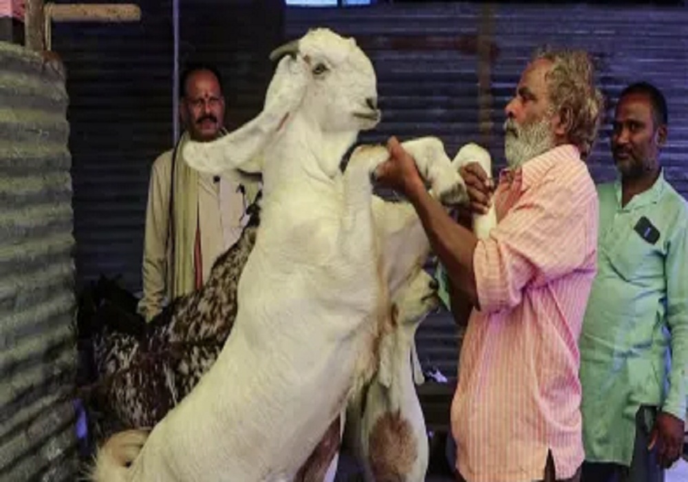 Bakrid 2025: बकरीद से पहले सरकार का बड़ा फैसला! भूलकर भी न करें इन जानवरों की कुर्बानी, नहीं तो.. इन चीजों पर लगाई रोक