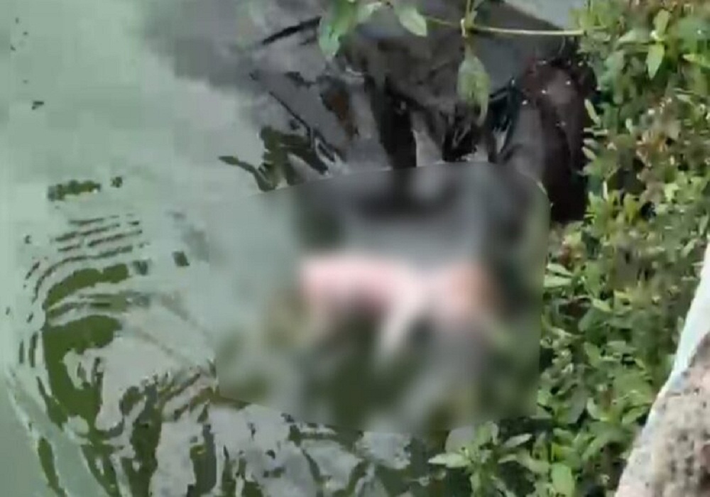 मानवता हुई शर्मसार: बूढ़ा तालाब में तैरता मिला नवजात का शव, VIDEO देखकर आपके भी उड़ जाएंगे होश