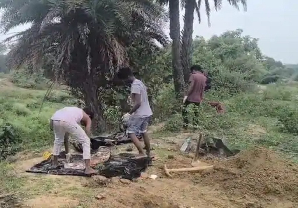 4 साल की मासूम की हत्या! बेरहमी से मारकर शव को अलमारी में छुपाया, फिर… दादा ने मां-बाप पर लगाया आरोप, ऐसे हुआ मामले का खुलासा