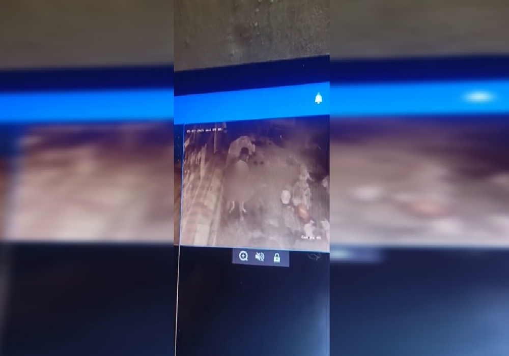 अब तो हद हो गई… बीमार गायों को भी नहीं छोड़ा शख्स, कर दी ये घिनौनी हरकत, CCTV में कैद हुई करतूत
