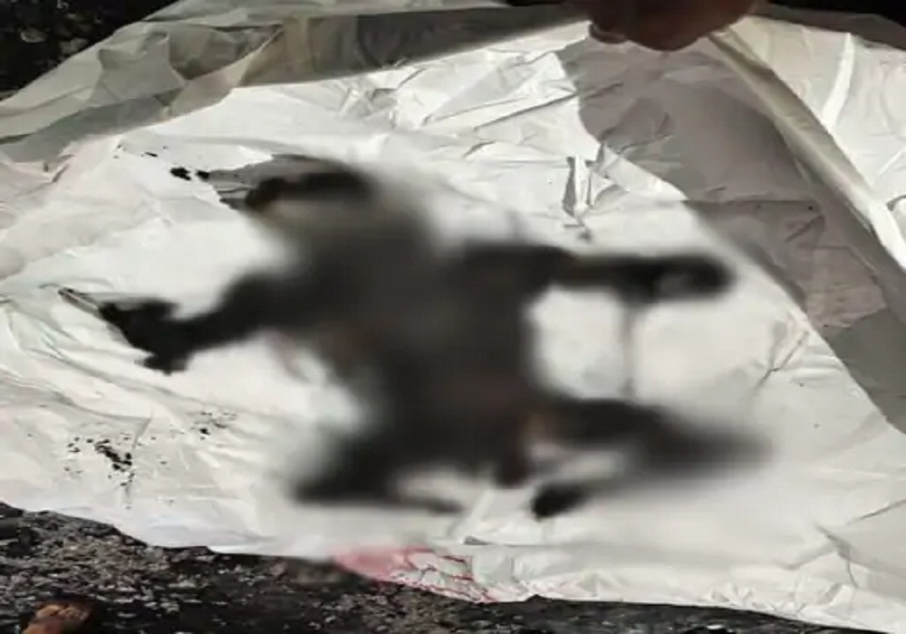 फोम फैक्ट्री में लगी भीषण आग, जिंदा जला मजदूर, बचने के लिए चीखता रहा लेकिन…
