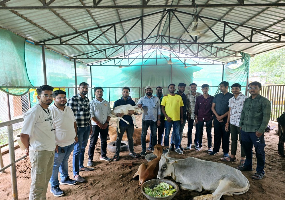 गौ सेवा मंडल सरगुजा की मिसाल: 8 साल में 12 हजार से ज्यादा बेजुबानों को बचाया, कोरोना में भी नहीं रुकी सेवा