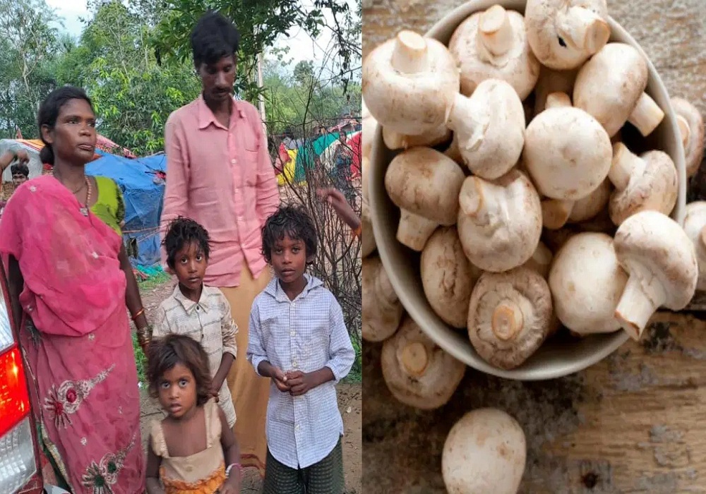 food poisoning in Kawardha: मशरूम खाकर एक ही परिवार के 4 लोग बीमार, इस हाल में अस्पताल पहुंचे बच्चे, इलाज जारी