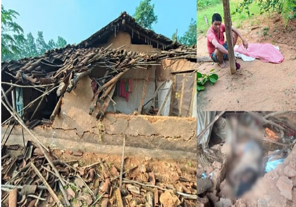 हाथियों का तांडव: 5 साल की मासूम समेत तीन ग्रामीणों को मार डाला, इलाके में दहशत का माहौल