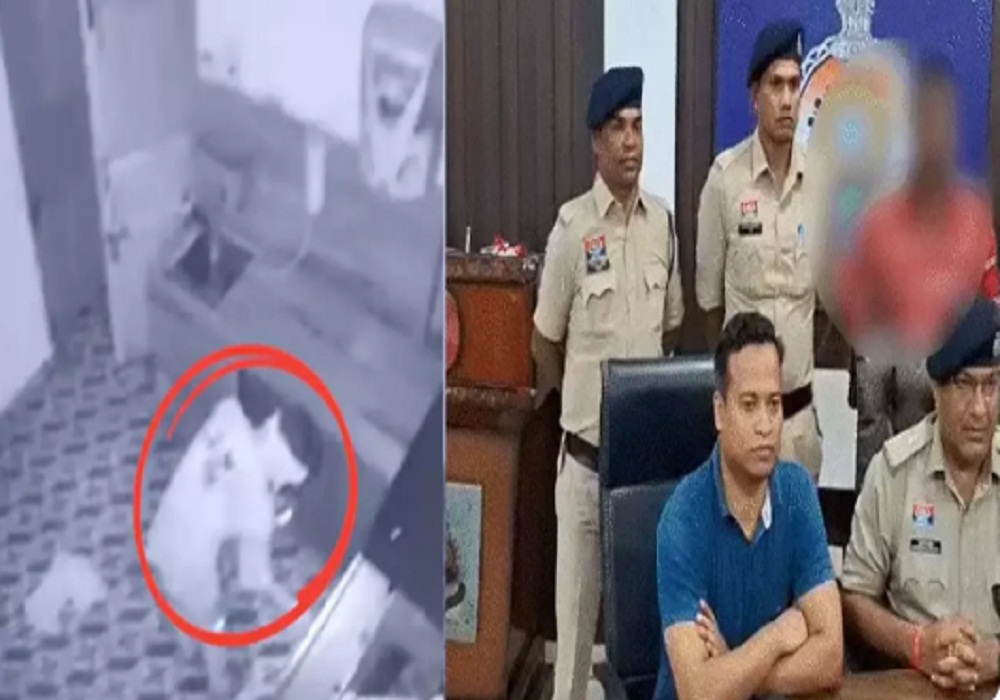 भगवान ने दिया दर्द, अब उन्हीं से लूंगा खर्च... HIV संक्रमित युवक ने 30 से ज्यादा मंदिरों को बनाया निशाना, पूरा मामला जानकर उड़ जाएंगे होश