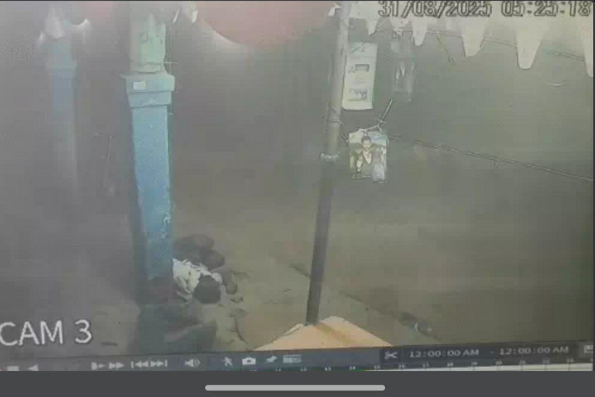 Murder to crushed by bolero