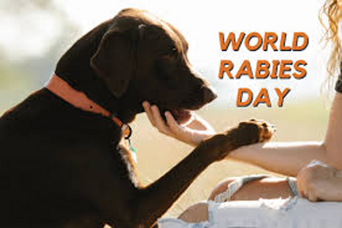 World Rabies Day 2025