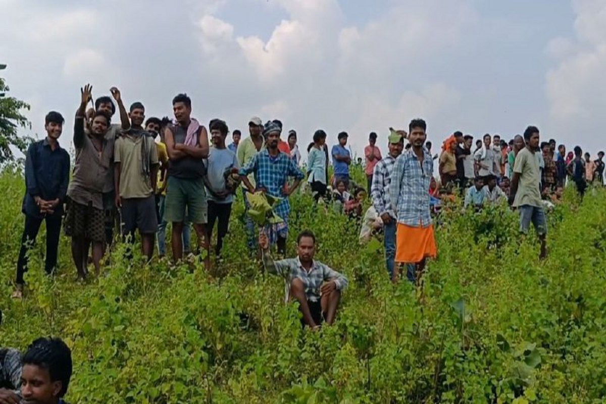 Elephants killed young man