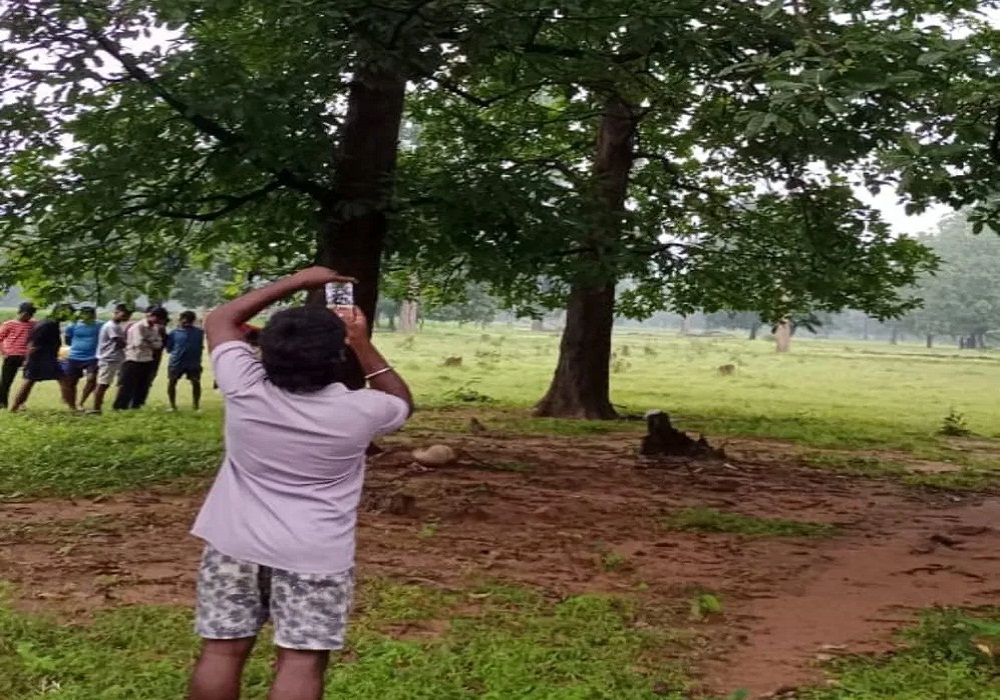 छत्तीसगढ़ में आसमानी बिजली का कहर, पेड़ के नीचे रुके दो युवकों की मौत, 3 बकरियां भी झुलसकर मरीं