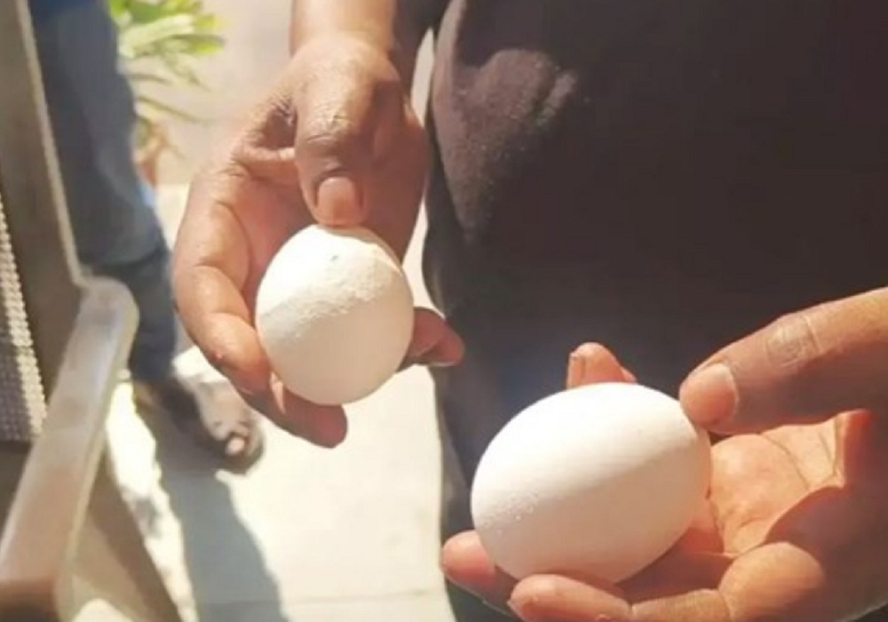 साहब ये अंडा नकली है… युवक की बात सुनकर पुलिस हुई हैरान, सतह पर ‘सफेद पुट्टी’ होने का लगाया आरोप