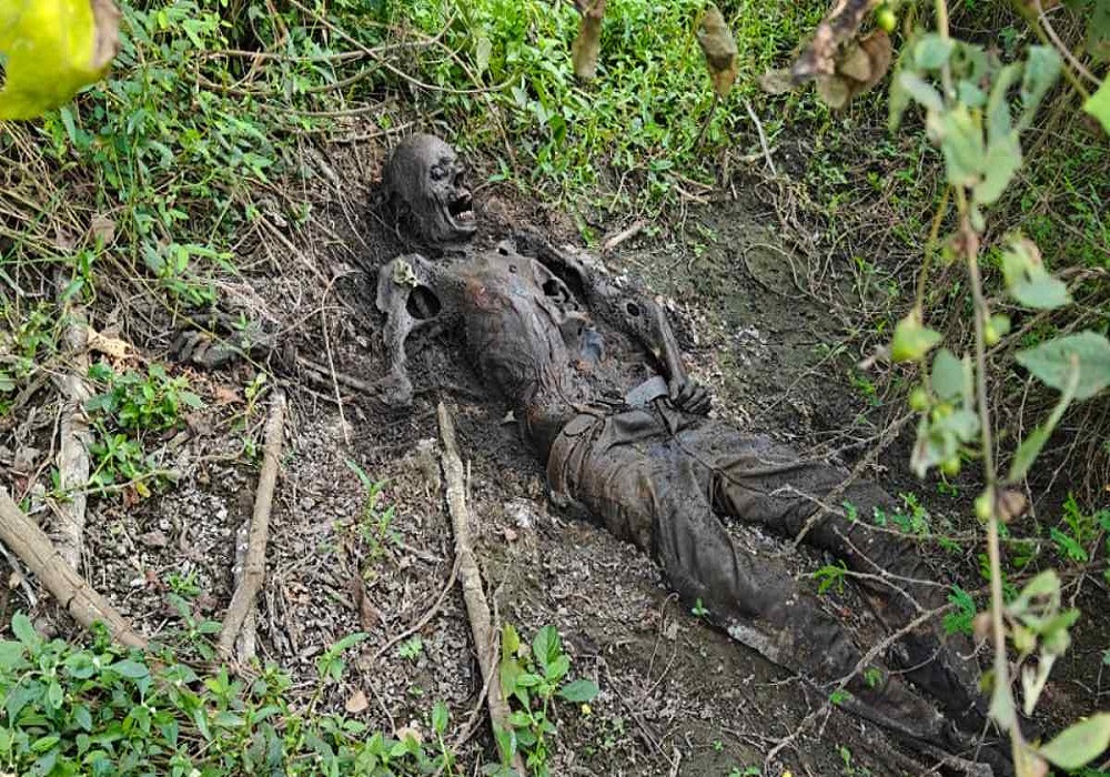 झाड़ियों में मिला नरकंकाल…. कई दिनों से आ रही थी तेज बदबू, बकरियां दौड़ीं तो हुआ मामले का खुलासा