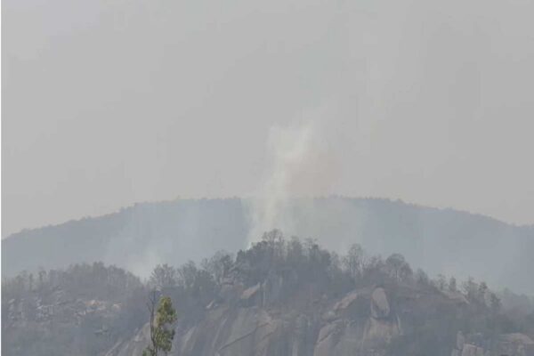 Jashpur Plane Crash: क्या वाकई हुआ विमान हादसा? वायरल वीडियो की सच्चाई आई सामने, कलेक्टर ने बताया पूरा सच